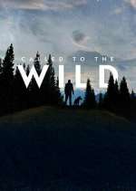 Watch Called to the Wild Gomovies123