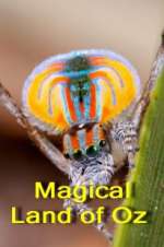 Watch Magical Land of Oz Gomovies123