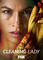 Watch The Cleaning Lady Gomovies123