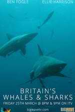 Watch Britain's Whales and Sharks Gomovies123