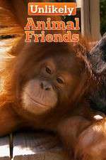 Watch Unlikely Animal Friends Gomovies123