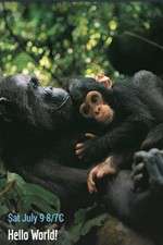 Watch Hello World! Gomovies123