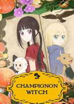champignon witch tv poster