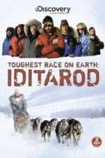 Watch Iditarod Gomovies123