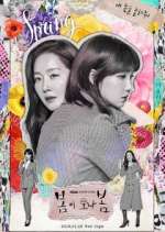 Watch Spring Turns to Spring Gomovies123