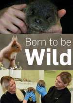 Watch Born to Be Wild Gomovies123