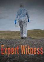 Watch Expert Witness Gomovies123