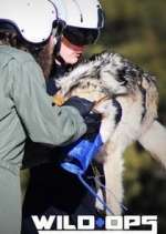 Watch Wild Ops Gomovies123