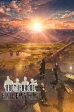 brotherhood final fantasy xv tv poster