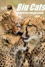 Watch Big Cats: An Amazing Animal Family Gomovies123