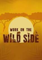 Watch Work on the Wild Side Gomovies123