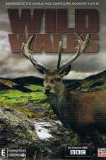 Watch Wild Wales Gomovies123