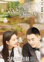 Watch Everyone Wants to Meet You Gomovies123