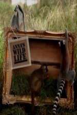 Watch Anna's Wild Life Gomovies123
