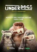 Watch Underdogs Gomovies123