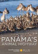 Watch Panama's Animal Highway Gomovies123