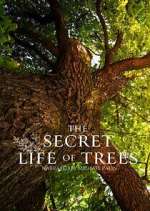 Watch The Secret Life of Trees Gomovies123