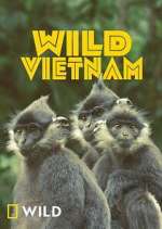 Watch Wild Vietnam Gomovies123