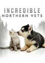 Watch Incredible Northern Vets Gomovies123
