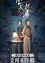 Watch Lies Never Lie Gomovies123