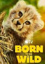 Watch Born to Be Wild Gomovies123
