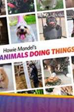 Watch Howie Mandel\'s Animals Doing Things Gomovies123