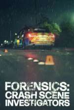 forensics: crash scene investigators tv poster