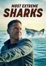 Watch Most Extreme Sharks Gomovies123