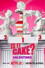 is it cake? valentines tv poster
