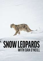 Watch Snow Leopards with Dan O\'Neill Gomovies123