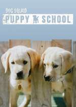 Watch Dog Squad: Puppy School Gomovies123