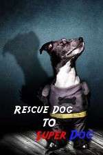 Watch Rescue Dog to Super Dog Gomovies123