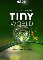 Watch Tiny World Gomovies123