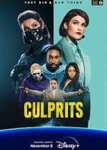 Watch Culprits Gomovies123