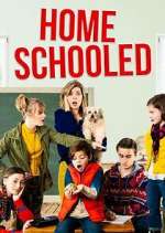 home-schooled tv poster
