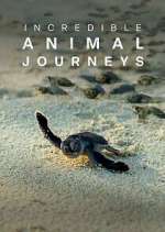 Watch Incredible Animal Journeys Gomovies123