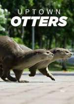 Watch Uptown Otters Gomovies123