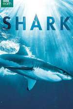 Watch Shark Gomovies123