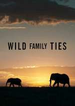 Watch Wild Family Ties Gomovies123