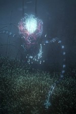 Watch Into the Universe with Stephen Hawking Gomovies123