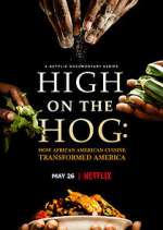 Watch High on the Hog: How African American Cuisine Transformed America Gomovies123