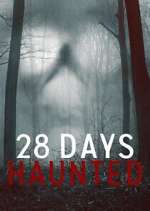 28 days haunted tv poster