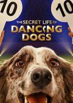 Watch The Secret Life of Dancing Dogs Gomovies123