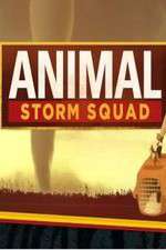Watch Animal Storm Squad Gomovies123