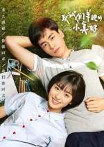 Watch A Love So Beautiful Gomovies123