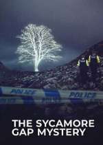 Watch The Sycamore Gap Tree Mystery Gomovies123