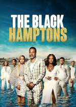 Watch Carl Weber's The Black Hamptons Gomovies123