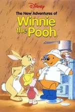 Watch The New Adventures of Winnie the Pooh Gomovies123