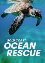 Watch Gold Coast Ocean Rescue Gomovies123