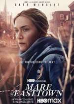 Watch Mare of Easttown Gomovies123